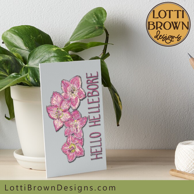 Hellebore mini art print