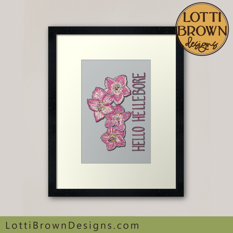 Hello Hellebore art print