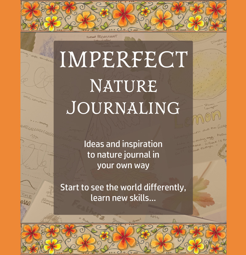Imperfect Nature Journaling course promo 1