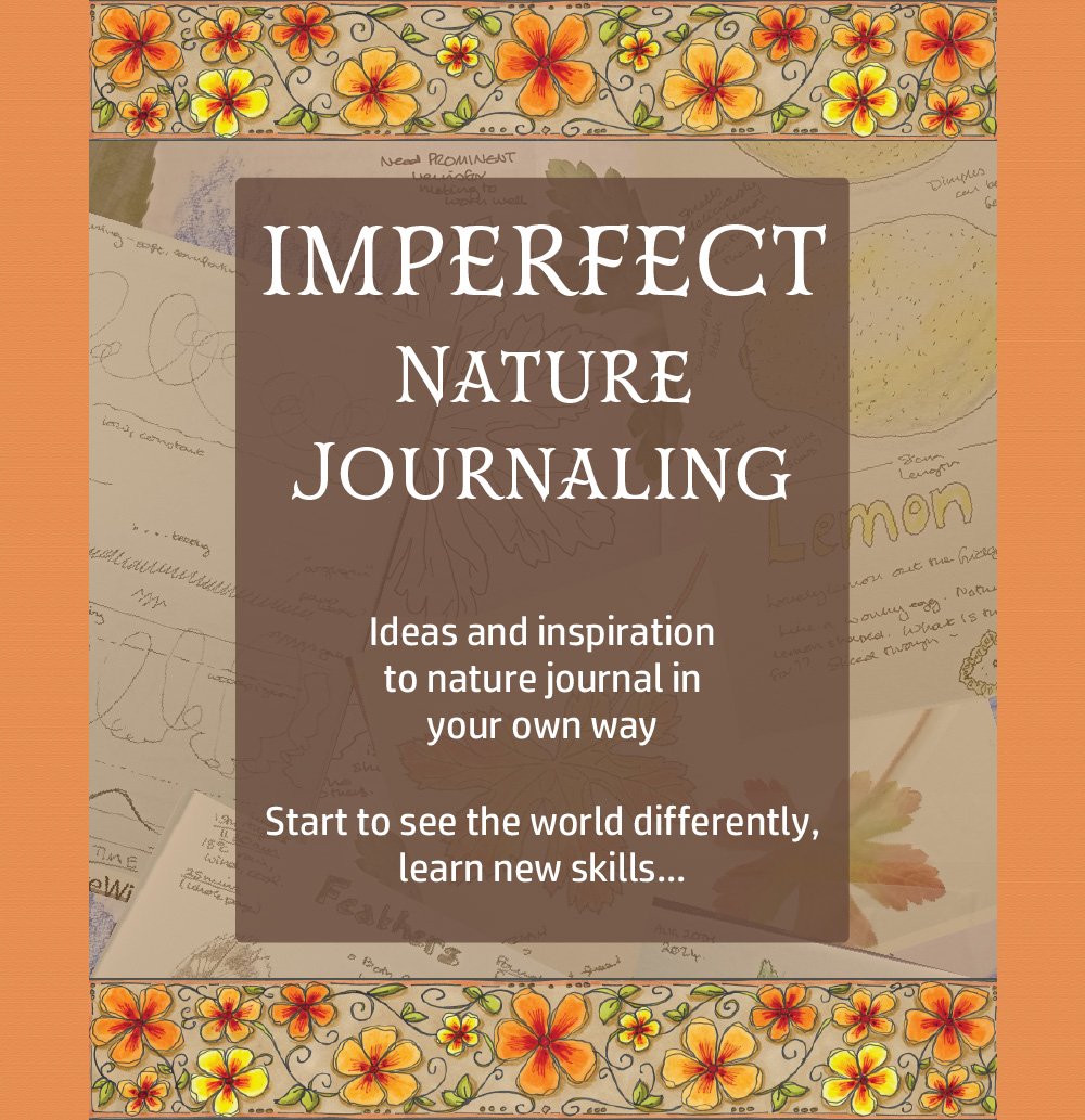 Imperfect Nature Journaling course