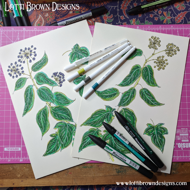 Ivy illustrations