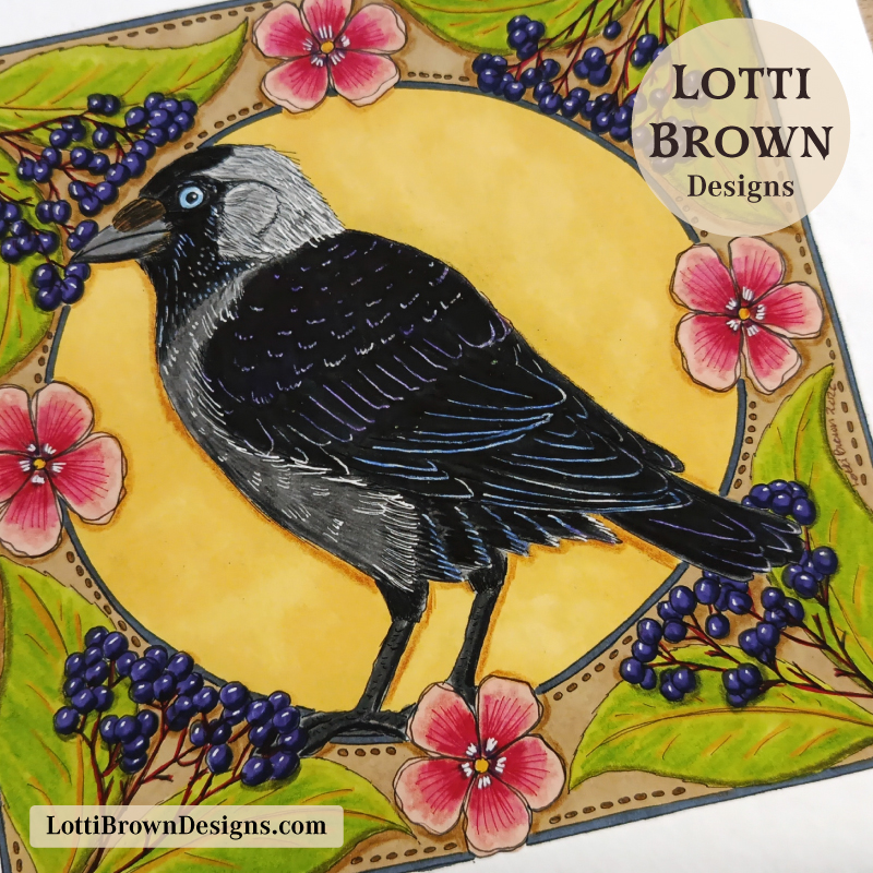 Clever Jackdaw