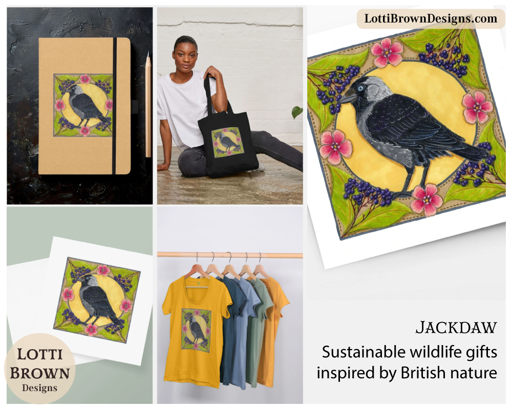 Jackdaw art prints and products