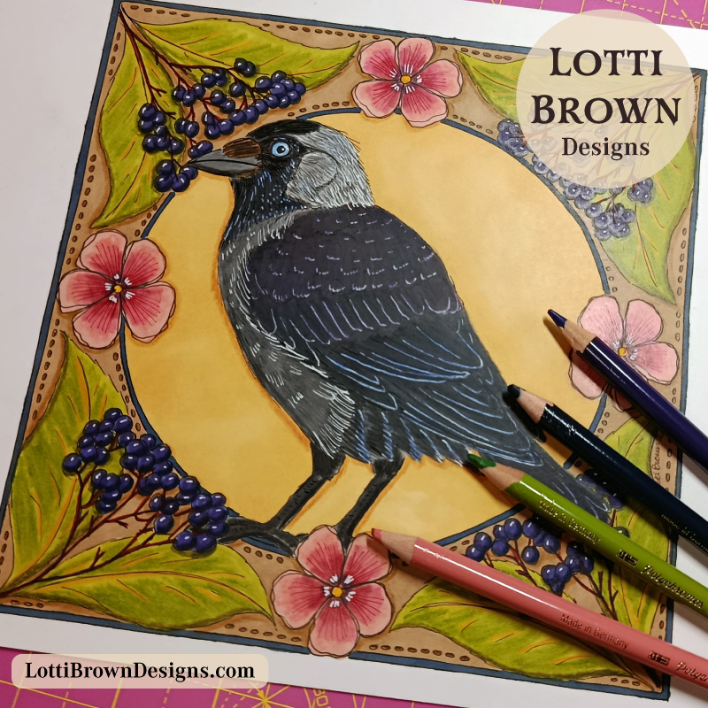 Jackdaw drawing
