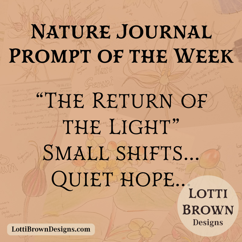 January nature journal prompt - return of the light