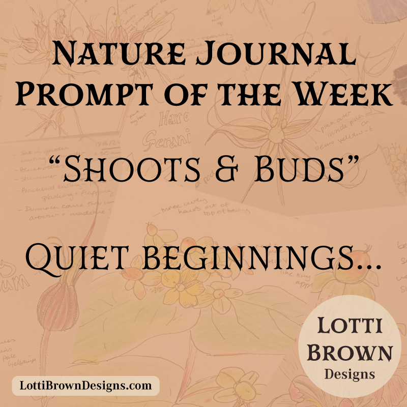 January nature journal prompt - shoots and buds