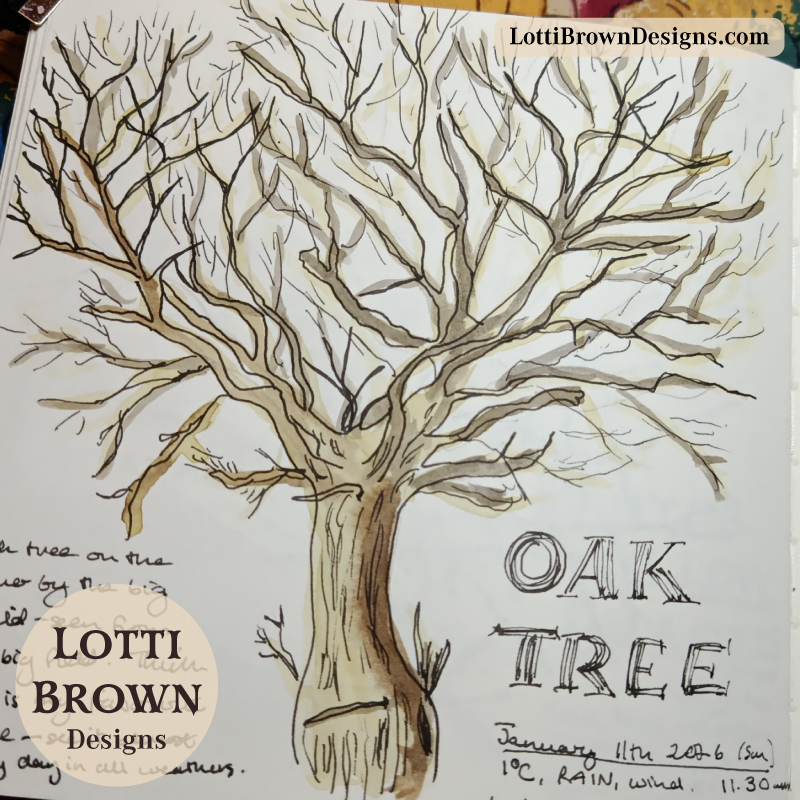 January oak tree in my nature journal