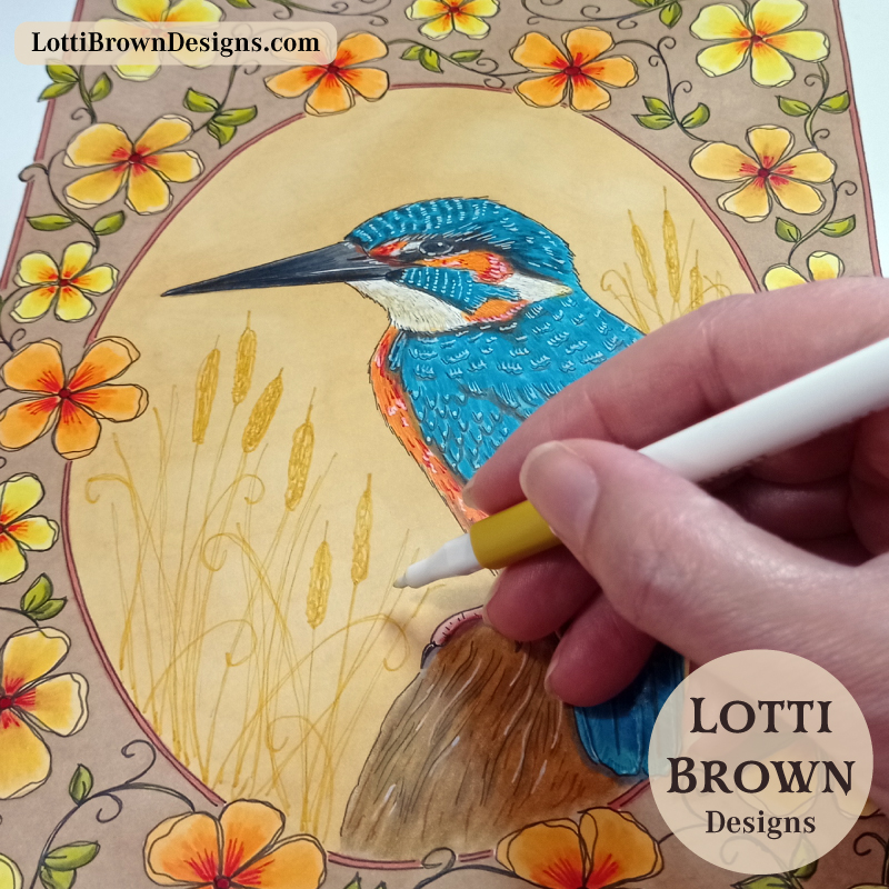 Kingfisher drawing work in progress