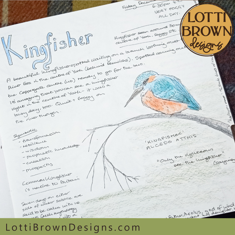 Kingfisher nature journal page