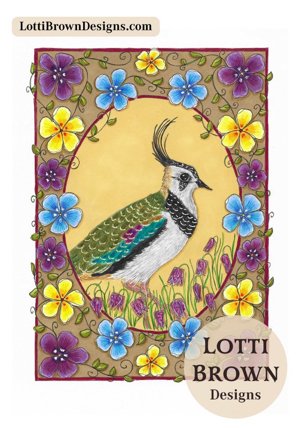 Lapwing hand-drawn art illustration by Lotti Brown