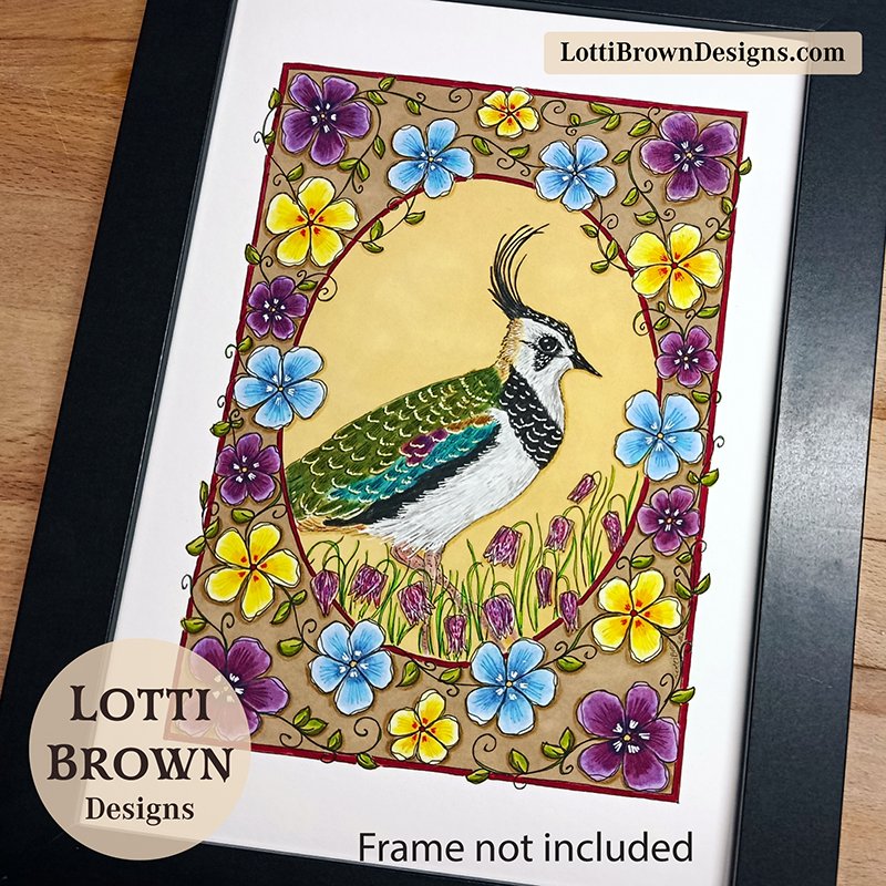 Lapwing original art detail - coloured pencil and pen