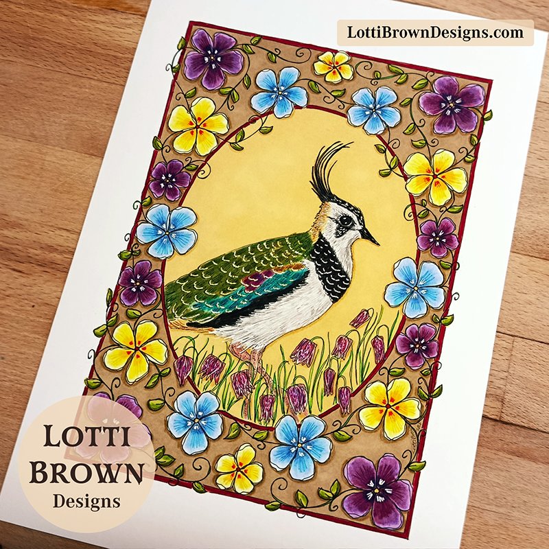 Lapwing art print by Lotti Brown