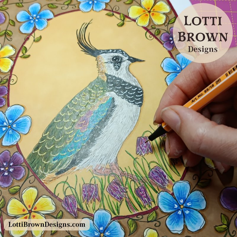 Drawing my lapwing multimedia art - created with pens and coloured pencils