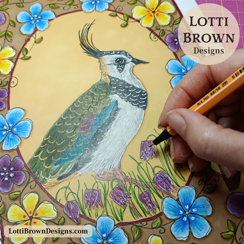 Drawing my lapwing multimedia art - created with pens and coloured pencils