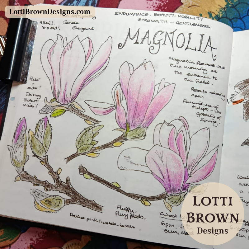 Magnolia nature journal page for April