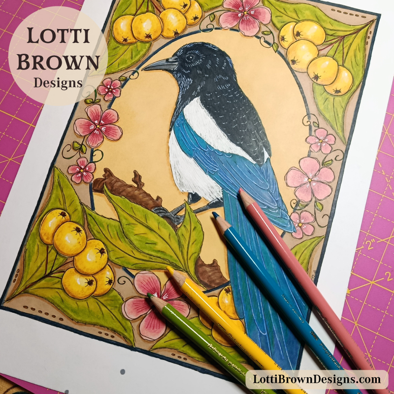 Magpie drawing with pens and coloured pencils