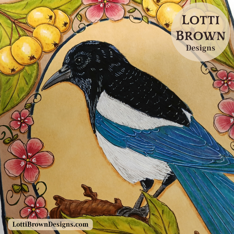 Magpie drawing (close up)