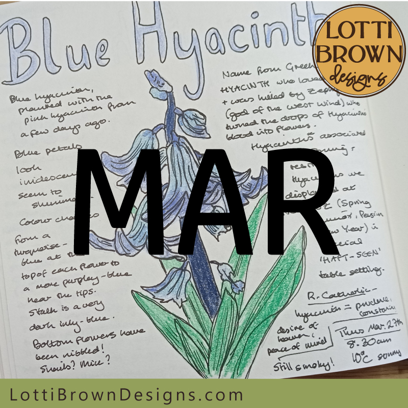 March nature journal pages