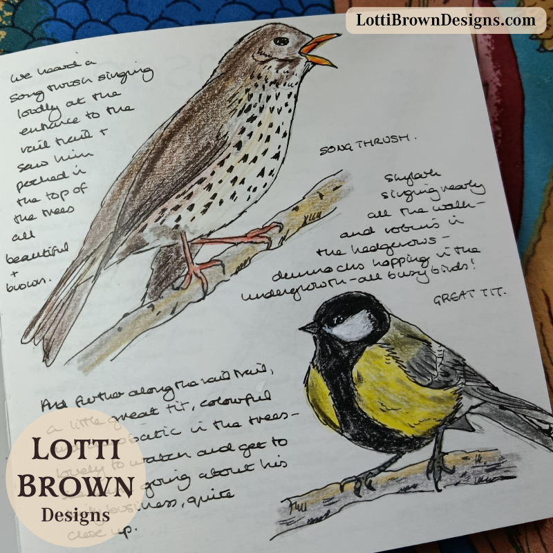 May birdsong on my nature journal