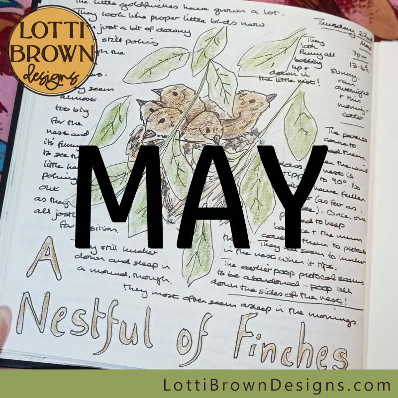 Nature journal pages for May