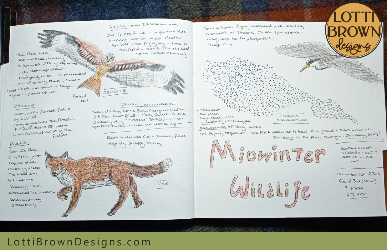 Midwinter wildlife