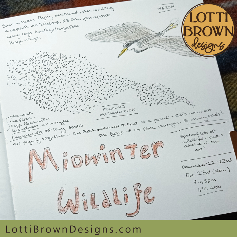Midwinter wildlife starling murmuration and heron