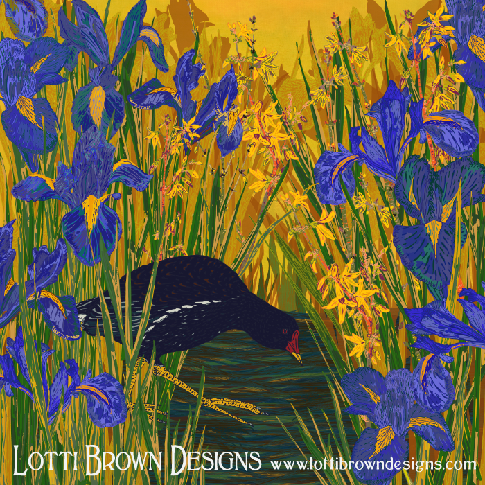 Moorhen and Iris artwork