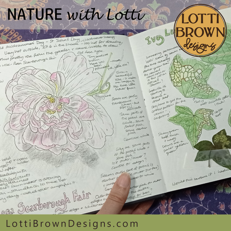 What to nature journal about Nature journal spread