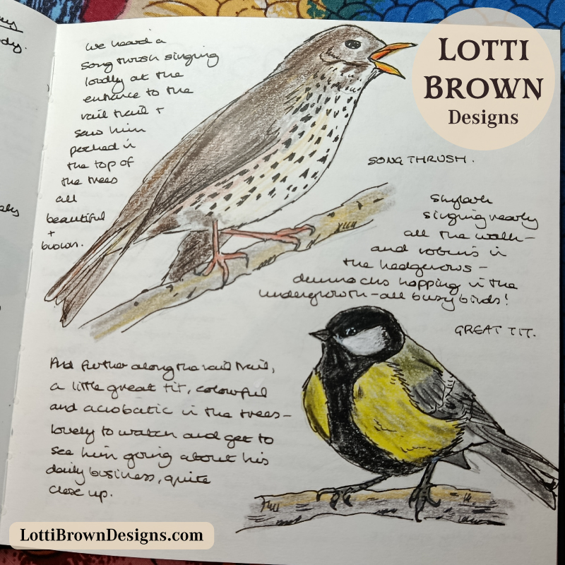 Nature journaling birds - song thrush and great tit