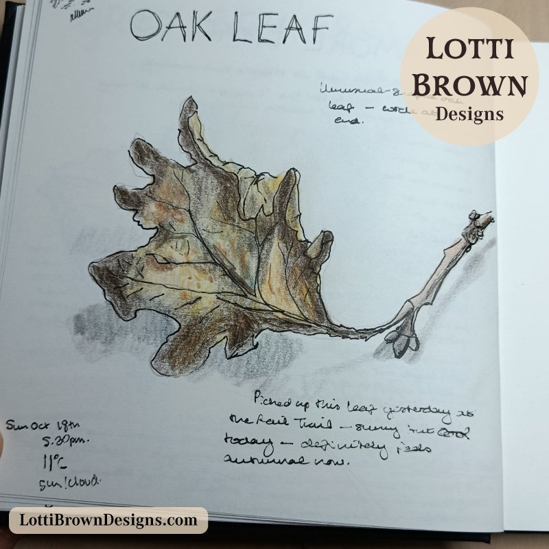 Oak leaf journal sketch
