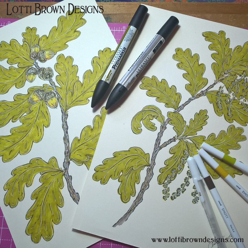 Oak leaf drawings