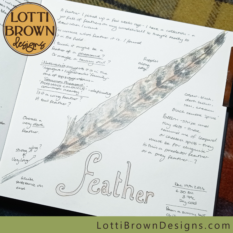 Pheasant feather nature journal page