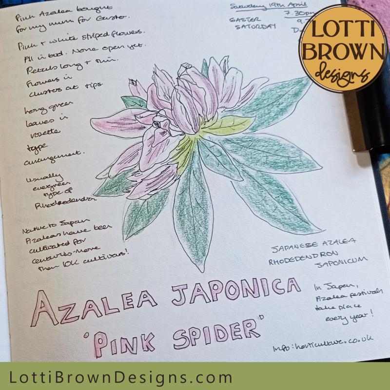 Pink azalea nature journal page