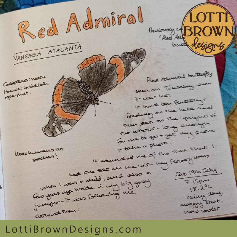 Red admiral butterfly nature journal page