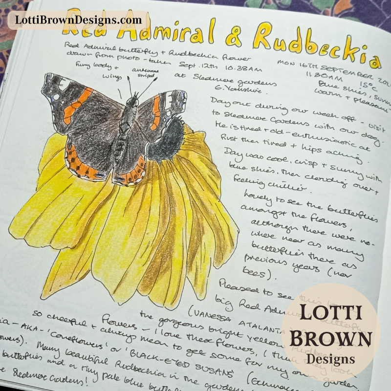 Red admiral and rudbeckia journal page