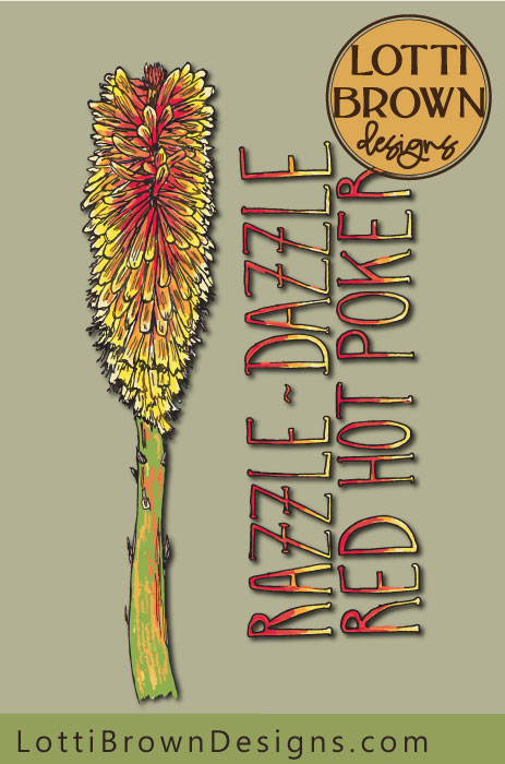 Razzle-Dazzle Red Hot Poker by Lotti Brown