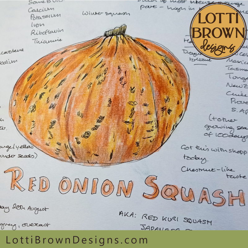 Red onion squash nature journal page