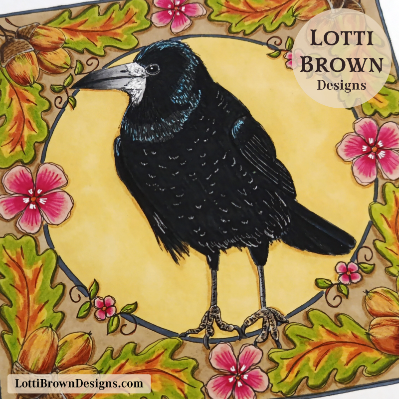 Rook illustration by Lotti Brown