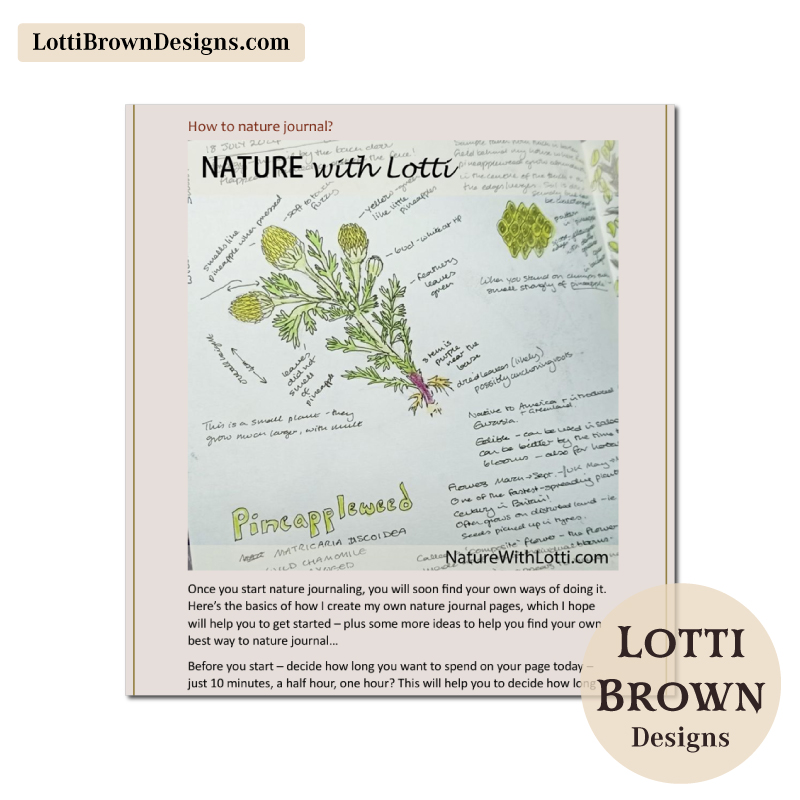 Sample from the beginner nature journal guide