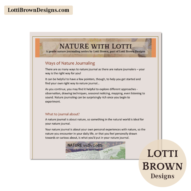 Sample page from the beginner nature journaling free PDF guide