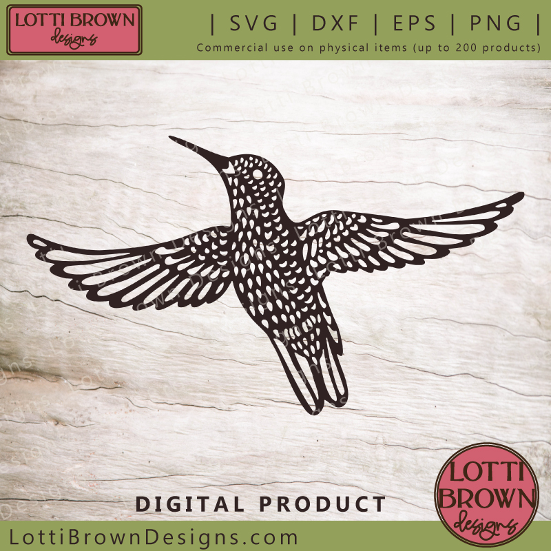 Soaring hummingbird SVG file