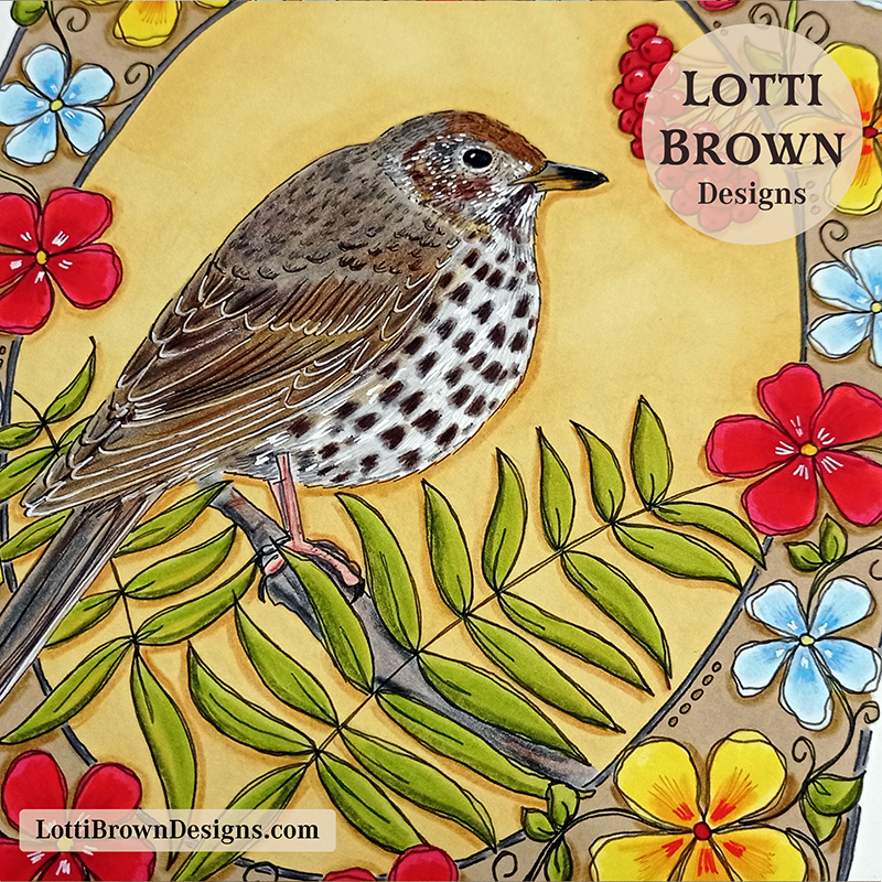 Close-up of hand-drawn song thrush feathers and speckled breast - fine art print