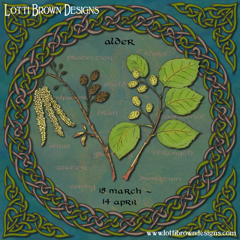 Celtic tree calendar art Alder by Lotti Brown