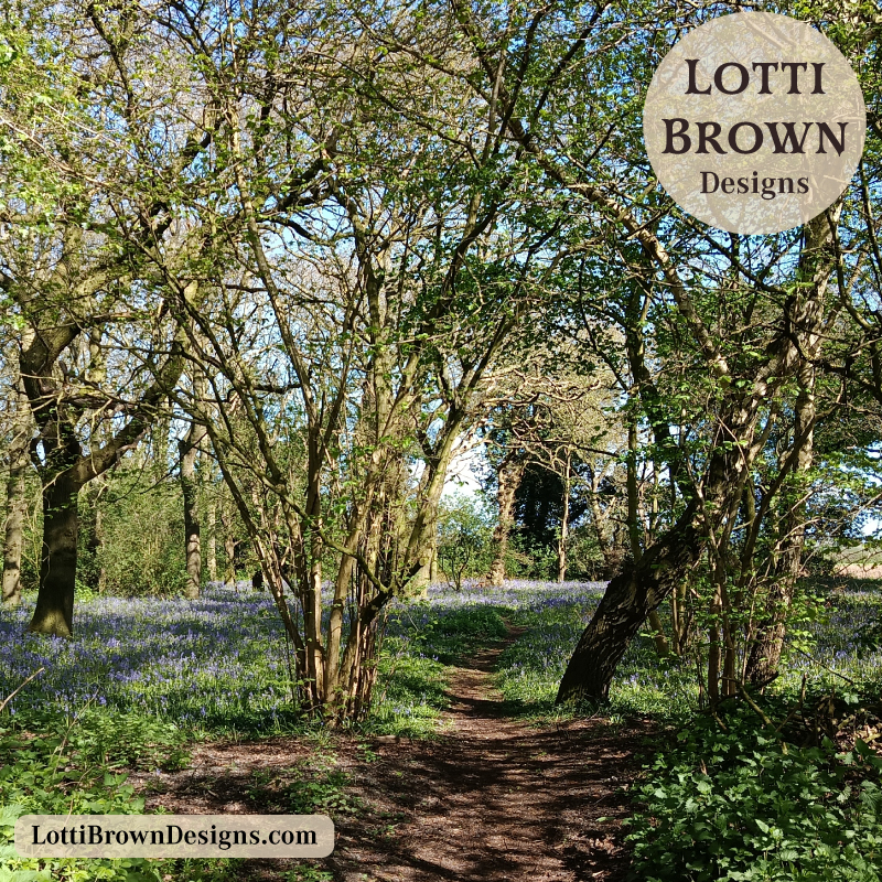 Tree connection and meaning through nature journaling