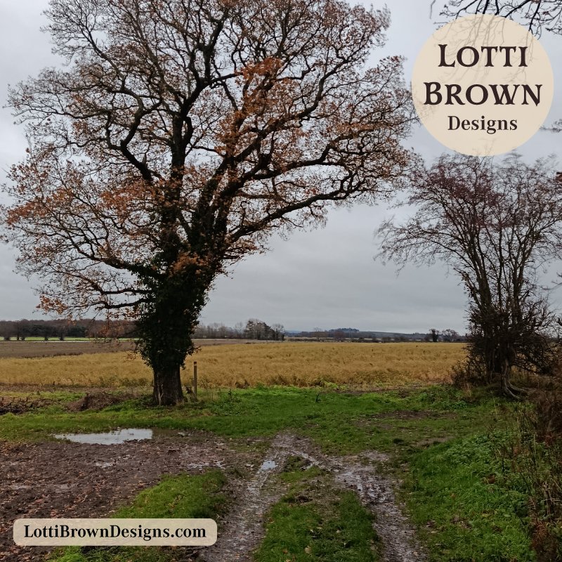 A winter walk in the fields, Yorkshire, where my art begins...