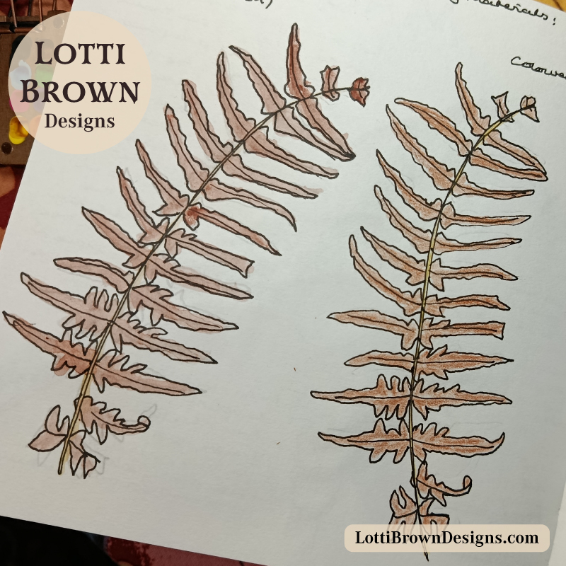 Watercolours and Coloured pencils comparison - bracken drawing