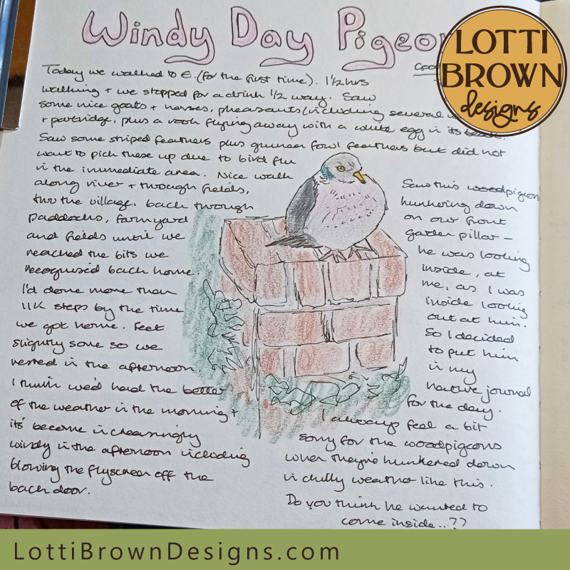 Windy day pigeon nature journal page