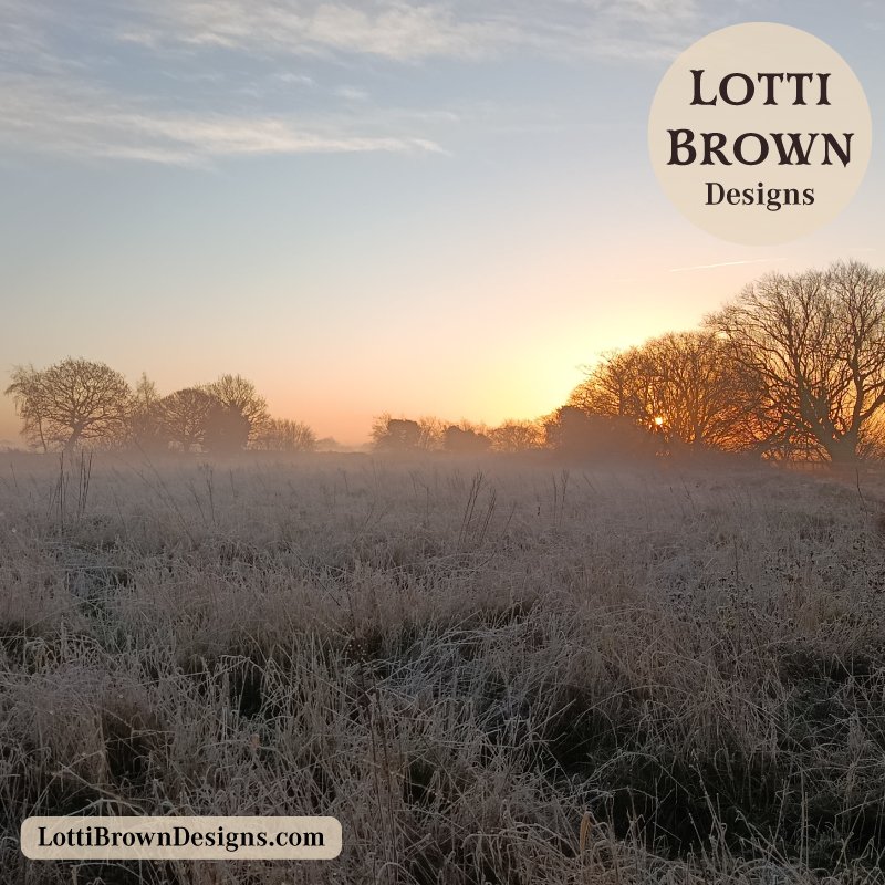 A winter sunrise on my daily walk in nature