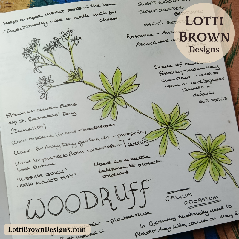 Woodruff nature journal page