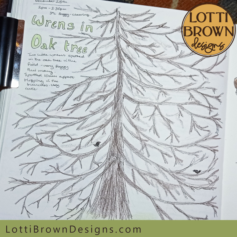 Wrens in oak tree nature journal page